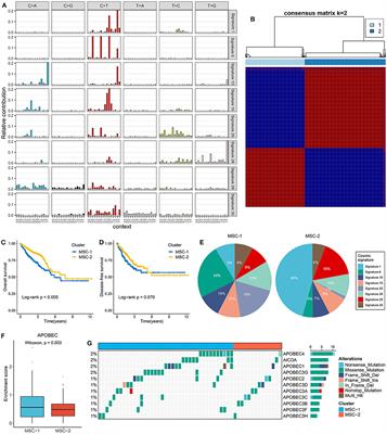 Genomic Alteration Characterization in Colorectal Cancer Identifies a Prognostic and Metastasis Biomarker: FAM83A|IDO1